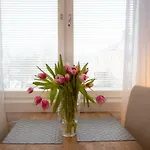 Klintvaegen Mariehamn