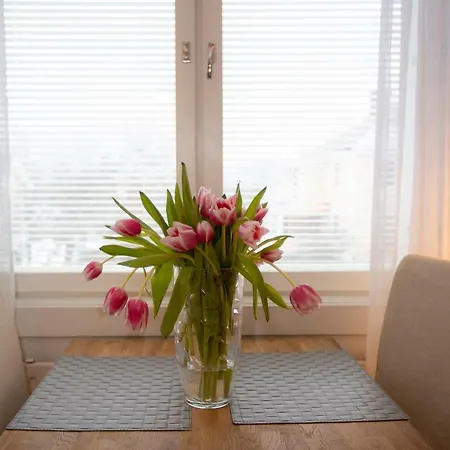 Klintvaegen Mariehamn